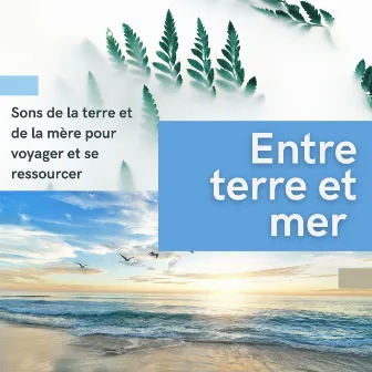 Entre terre et mer: Sons de la terre et de la mer pour voyager et se ressourcer by Coffret Bien-être Enyalie