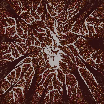 Crown Shyness by Trash Boat