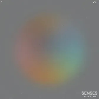 SENSES VOL. 1 by James Tillman