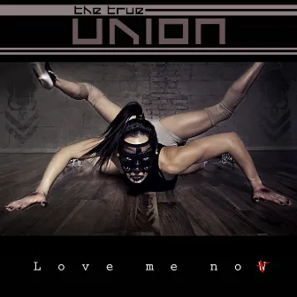 Love Me Now (not) by The True Union