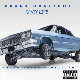 Crazy Life by PranxCrazyBoy