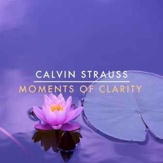 Moments Of Clarity by Calvin Strauss