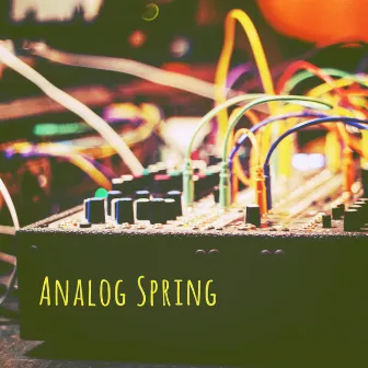 Analog Spring by Casey Cuts