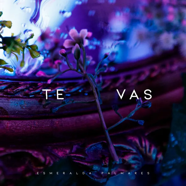 Te Vas