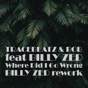 Where Did I Go Wrong (Billy Zed Rework) by Tracebeatz & Bob