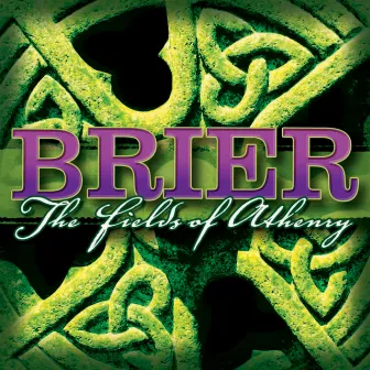 The Fields of Athenry by Brier