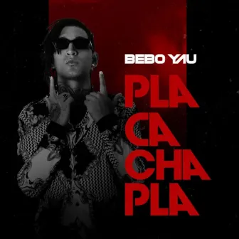 Pla Cacha Pla (por que no te pones en cuatro) by Bebo Yau