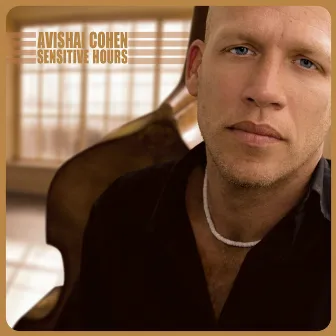 Sensitive Hours by Avishai Cohen