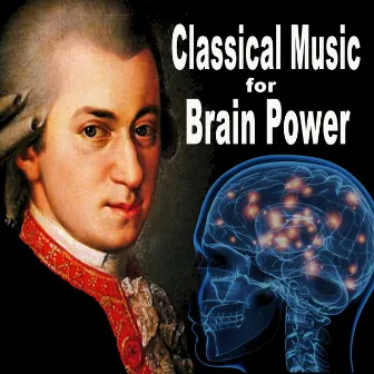 Classical Music for Brain Power - Bach, Pachelbel, Mozart, Grieg, Boccherini, Vivaldi & Chopin (Classical Music for Stimulation Concentration Studying and Focus) by Classical Music for Brain Power