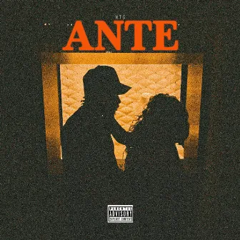 Ante by NTG