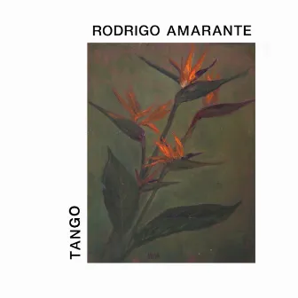 Tango by Rodrigo Amarante