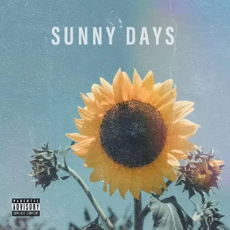 Sunny Days by Pueblo