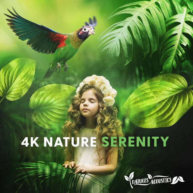 4K Nature Serenity