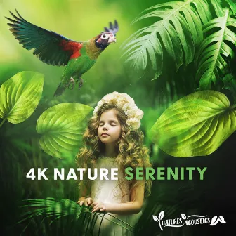 4K Nature Serenity by Natures Acoustics