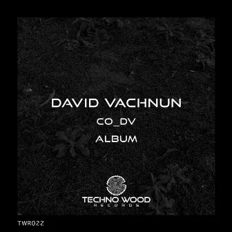 CO_DV ALBUM by David Vachnun