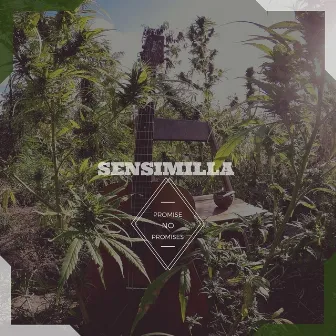 Sensimilla by Promise No Promises