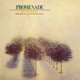 Promenade by Mícheál Ó Domhnaill