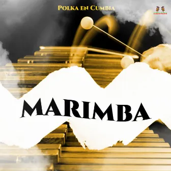 Polka En Cumbia by Marimba De Chiapas