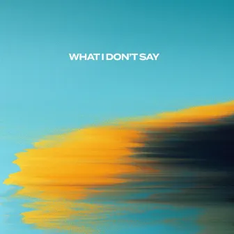 What I Don't Say by Tyler Walker