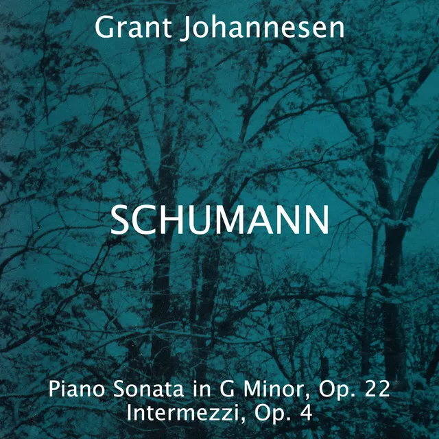 Piano Sonata in G Minor, Op. 22: I. So Rasch wie Moglich