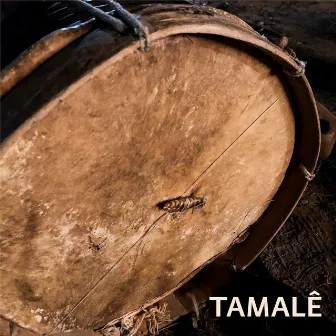 TAMALÊ: Badundjé by Leandro César