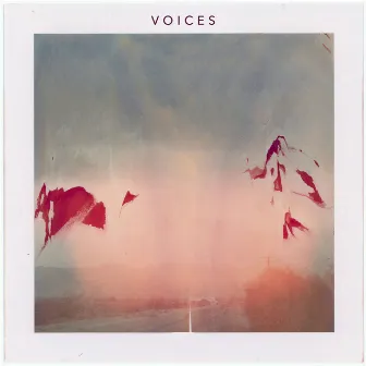 Voices by Young Oceans