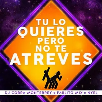 Tu Lo Quieres Pero No Te Atreves by DJ Cobra Monterrey