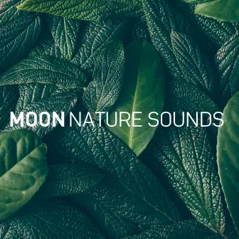 8D Nature Sounds by Moon Tunes