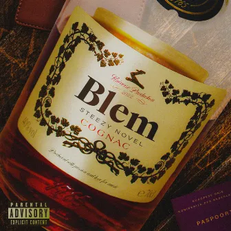 Blem by Steezy Novel