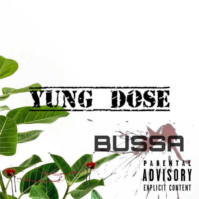 Bussa