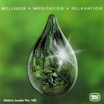 Wellness Meditation Relaxation: Musical Images, Vol. 100 by Sambodhi Prem