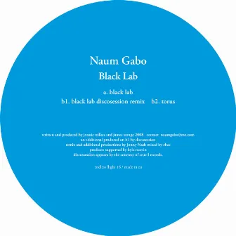 Black Lab by Naum Gabo