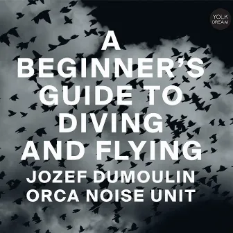 A Beginner's Guide to Diving and Flying by Jozef Dumoulin