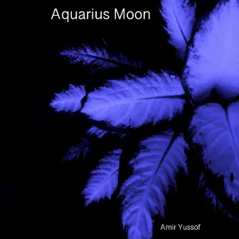 Aquarius Moon by Amir Yussof