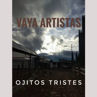 Vaya artistas by Ojitos Trites