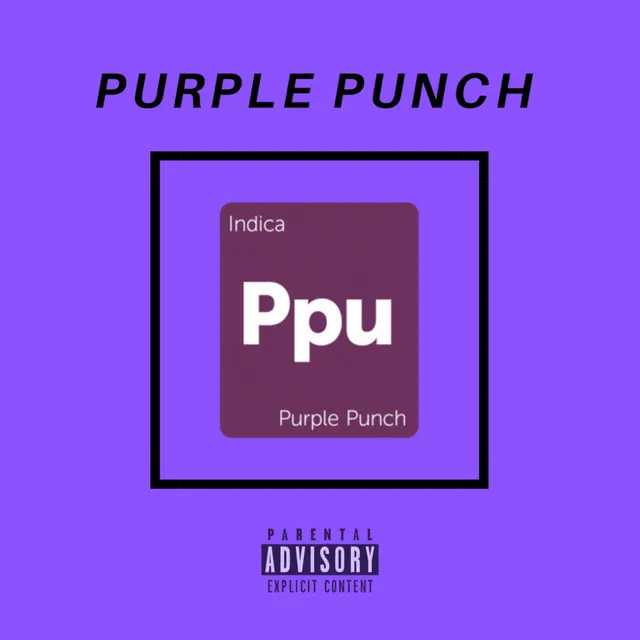 Purple Punch