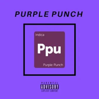 Purple Punch by Yung Profit