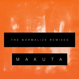 The Normalize Remixes by Normalize