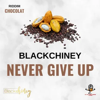 Never Give Up by Blackchiney