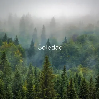 Soledad by Ary