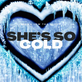 She's So Cold by Down Low Tha B365t