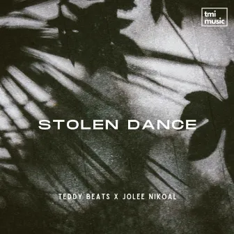 Stolen Dance by Jolee Nikoal