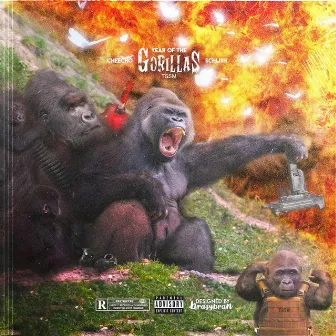 Year Of The Gorillas by Schlish