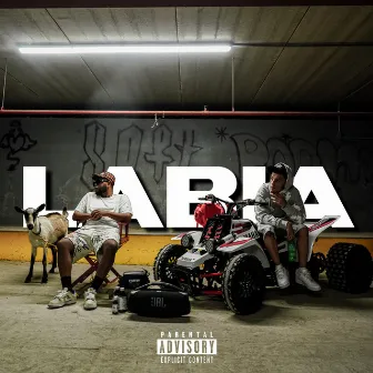 Labia by Lil' Robb