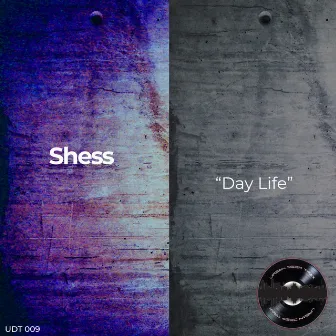 Day Life by Shess