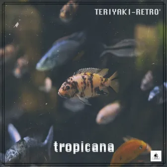 Tropicana by TERIYAKIRETRO