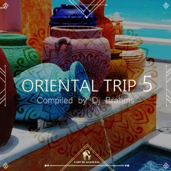 Oriental Trip, Vol. 5 (Compiled by Dj Brahms) by DJ Brahms