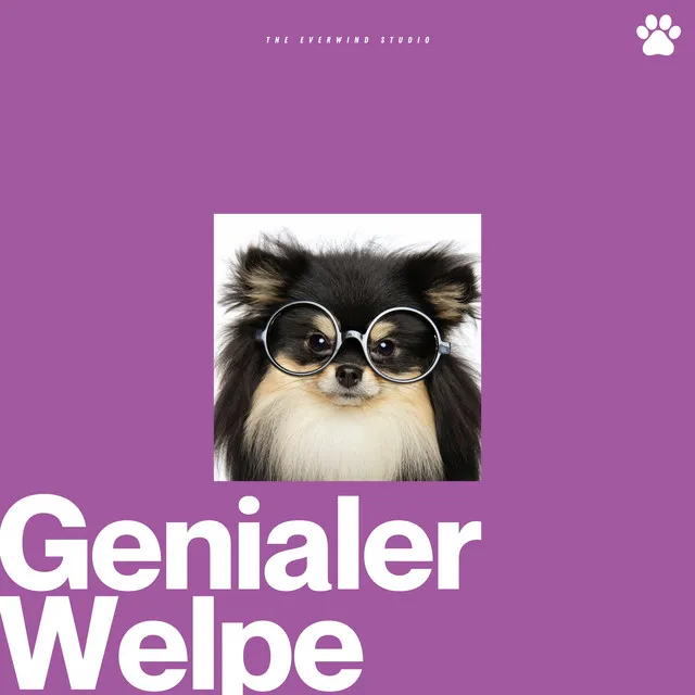 Genialer Welpe