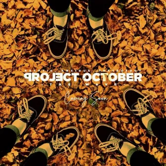 Project October by The Wave MW