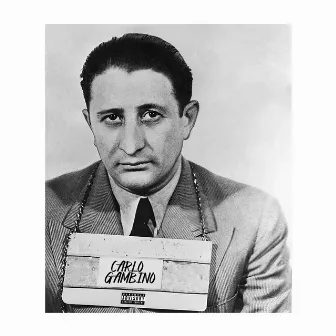 Carlo Gambino by Diril